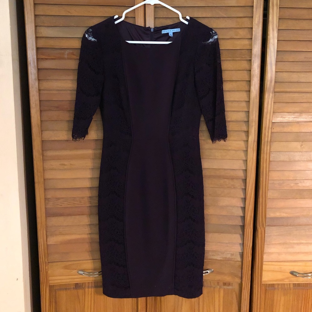 EUC Antonio Melani dress